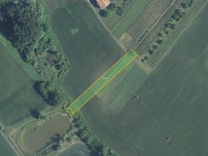 Prodej pole, Starý Poddvorov, 1804 m2