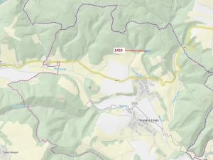 Dražba lesa, Vranová Lhota, 3122 m2