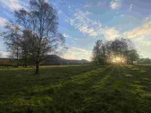 Prodej pole, Cvikov - Trávník, 16894 m2