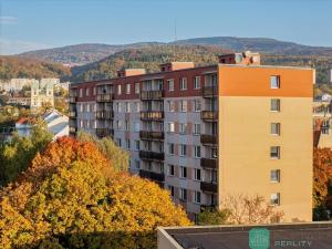 Prodej bytu 1+1, Litvínov, Čapkova, 36 m2