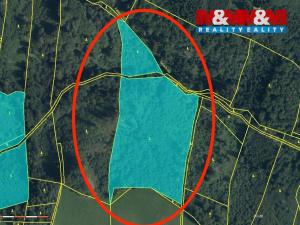 Prodej lesa, Horní Studénky, 29330 m2