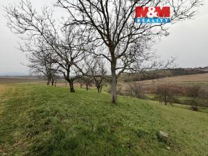 Prodej zahrady, Bezuchov, 901 m2