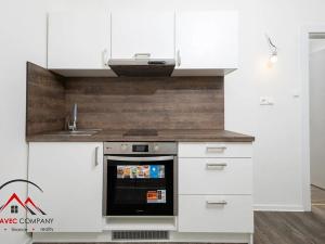 Pronájem bytu 1+kk, Ostrava, Palackého, 26 m2