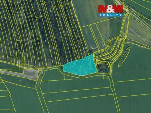 Prodej lesa, Koloveč, 10594 m2