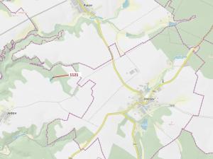 Dražba lesa, Náměšť nad Oslavou, 2998 m2