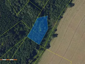 Prodej lesa, Česká Bělá, 2647 m2