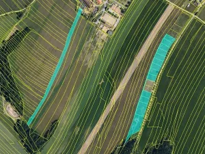 Prodej zahrady, Maršov, 31902 m2