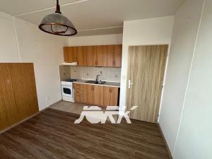 Prodej bytu 1+1, Pardubice, nábřeží Závodu míru, 40 m2