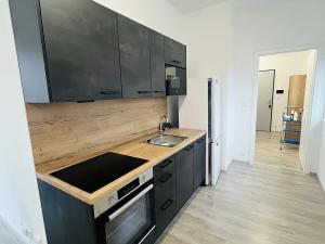 Pronájem bytu 1+kk, Lovosice, Zámecká, 60 m2
