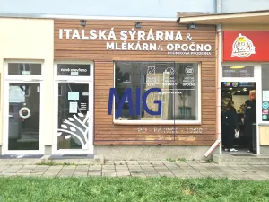 Pronájem obchodního prostoru, Brno, Merhautova, 52 m2