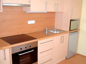 Pronájem bytu 1+1, Zlín, Potoky, 37 m2