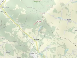 Dražba lesa, Zubrnice, 815 m2