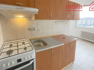 Pronájem bytu 1+1, Chomutov, Jirkovská, 48 m2