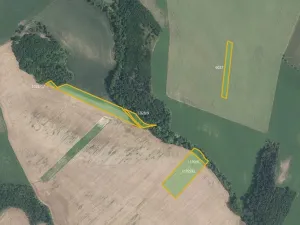 Prodej pole, Džbánice, 6896 m2