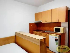 Pronájem bytu 1+kk, Horka nad Moravou, Nerudova, 25 m2