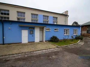 Pronájem skladu, Brandýs nad Labem-Stará Boleslav, 543 m2
