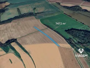 Prodej podílu pole, Březolupy, 3736 m2