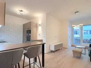 Pronájem bytu 2+kk, Brno, Hybešova, 53 m2