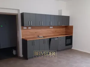 Pronájem bytu 4+kk, Teplice, Pražská, 70 m2