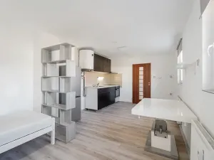 Pronájem bytu 1+kk, Troubsko, 33 m2