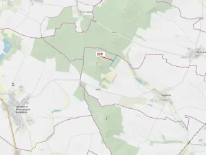 Dražba lesa, Vícenice, 6645 m2