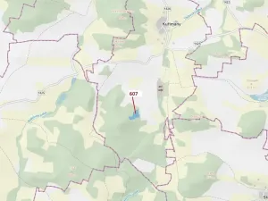 Dražba lesa, Kuřimany, 10437 m2