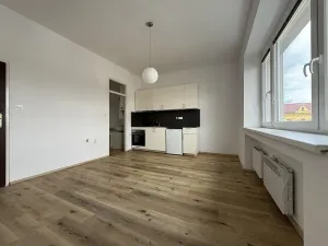 Pronájem bytu 1+kk, Brno, Staňkova, 25 m2