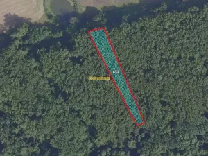 Prodej lesa, Přerov nad Labem, 2974 m2