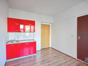 Prodej bytu 1+kk, Ústí nad Labem, Truhlářova, 17 m2