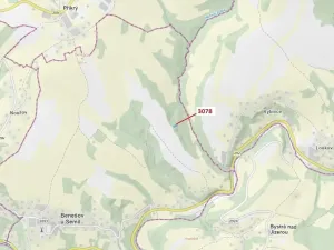 Dražba lesa, Benešov u Semil, 1110 m2