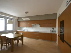 Pronájem bytu 3+kk, Brno, Majdalenky, 161 m2