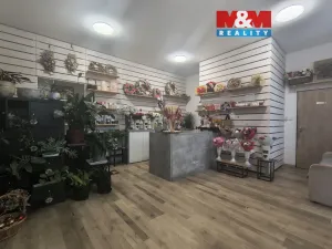 Pronájem obchodního prostoru, Brno - Židenice, Životského, 36 m2