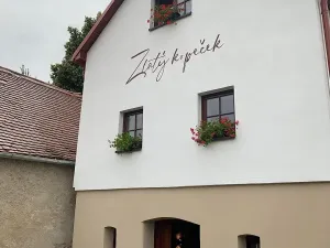 Prodej vinného sklepa, Čejkovice, 66 m2