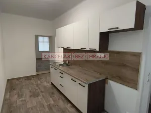 Pronájem bytu 1+1, Ostrava, Hilbertova, 54 m2