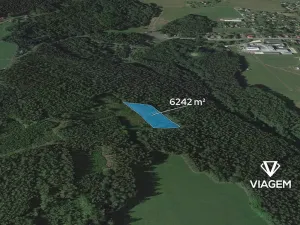 Prodej lesa, Loužnice, 6242 m2