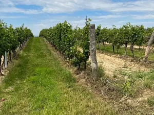 Prodej podílu pozemku, Vracov, 152 m2