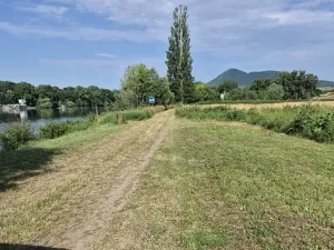 Prodej pole, Píšťany, 5816 m2