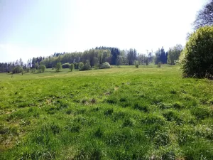 Prodej pole, Semily, 34107 m2