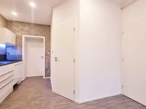 Pronájem bytu 1+1, Brno, Dobrovského, 44 m2