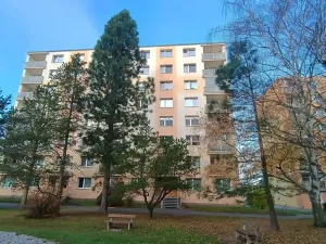 Pronájem bytu 1+1, Plzeň, Na Dlouhých, 40 m2