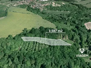 Prodej podílu lesa, Lhota, 275 m2