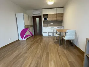 Pronájem bytu 1+kk, Olomouc, Edmunda Husserla, 30 m2