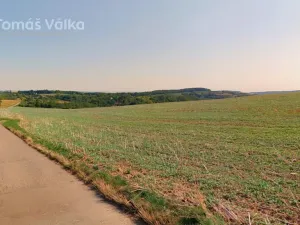 Prodej pole, Diváky, 4049 m2