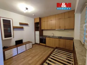 Pronájem bytu 1+kk, Třinec - Tyra, 15 m2