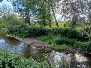 Dražba pozemku, Mimoň, 11189 m2