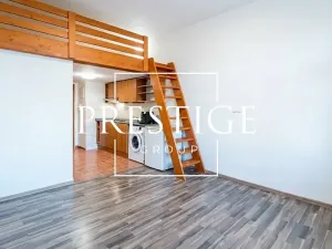 Pronájem bytu 1+kk, Praha - Vysočany, Freyova, 20 m2