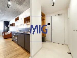 Pronájem bytu 2+kk, Brno, Cejl, 48 m2