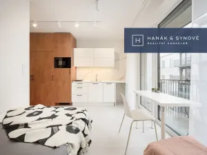 Pronájem bytu 1+kk, Brno, Koliště, 22 m2