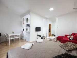 Prodej bytu 1+kk, Brno, U Leskavy, 34 m2