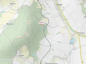 Dražba lesa, Nová Hradečná, 6750 m2